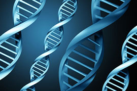 ДНК и клеточные технологии