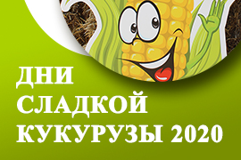 Дни сладкой кукурузы 20-21 августа 2020