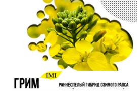Урожайный «Грим» на украинских полях