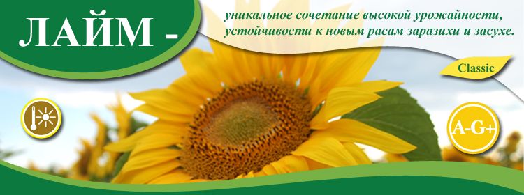 https://ru.vnis.com.ua/catalog/oil-seed/sunflower/lime/
