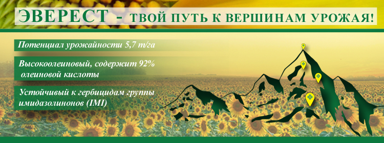 https://ru.vnis.com.ua/catalog/oil-seed/sunflower/Everest-visokooleinovii-hybrid/